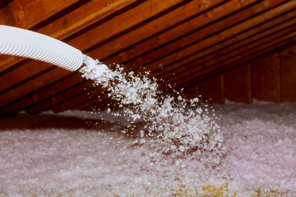 Best Garage Insulation Installation  in Piednt, MO
