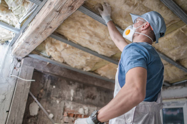 Best Home Insulation Services  in Piednt, MO