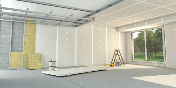 Best Spray Foam Insulation  in Piednt, MO