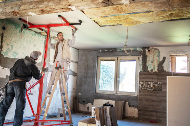 Best Energy-efficient Insulation  in Piednt, MO