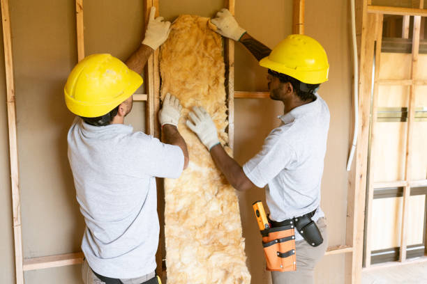 Best Insulation Removal Services  in Piednt, MO