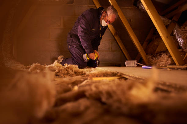 Best Attic Insulation Installation  in Piednt, MO